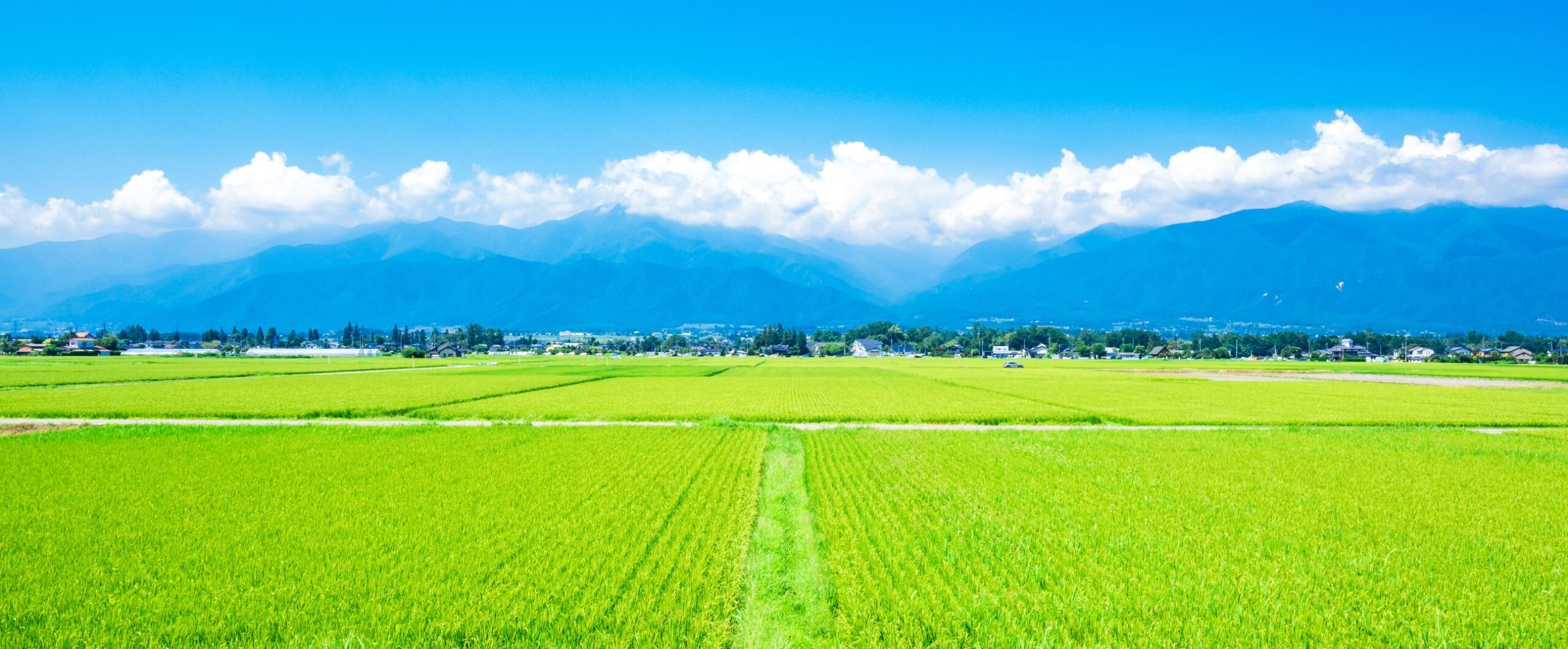 ブログ 農家民宿を経営するメリットとは？知るべき法律や経営のコツを解説